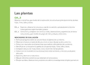 Ejemplo Evaluación Programas - OA03 - Las plantas Ejemplo Evaluación Programas - OA03 - Las plantas