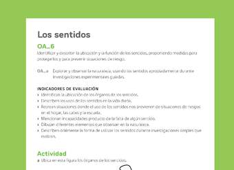 Ejemplo Evaluación Programas - OA06 - Los sentidos Ejemplo Evaluación Programas - OA06 - Los sentidos