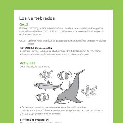 Ejemplo Evaluación Programas - OA02 - Los vertebrados Ejemplo Evaluación Programas - OA02 - Los vertebrados