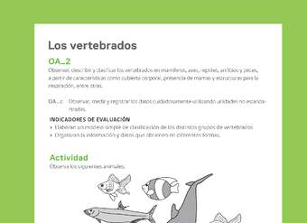 Ejemplo Evaluación Programas - OA02 - Los vertebrados Ejemplo Evaluación Programas - OA02 - Los vertebrados