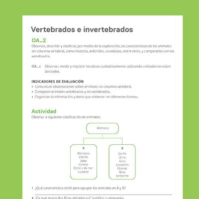 Ejemplo Evaluación Programas - OA02 - Vertebrados e invertebrados Ejemplo Evaluación Programas - OA02 - Vertebrados e invertebrados