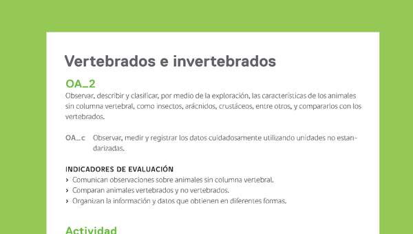 Ejemplo Evaluación Programas - OA02 - Vertebrados e invertebrados Ejemplo Evaluación Programas - OA02 - Vertebrados e invertebrados