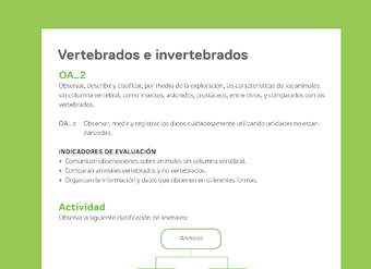 Ejemplo Evaluación Programas - OA02 - Vertebrados e invertebrados Ejemplo Evaluación Programas - OA02 - Vertebrados e invertebrados