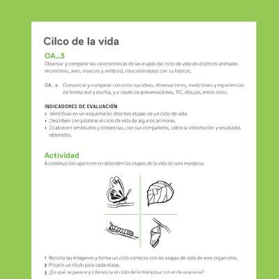 Ejemplo Evaluación Programas - OA03 - Ciclo de la vida Ejemplo Evaluación Programas - OA03 - Ciclo de la vida
