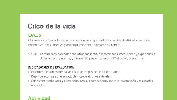 Ejemplo Evaluación Programas - OA03 - Ciclo de la vida Ejemplo Evaluación Programas - OA03 - Ciclo de la vida