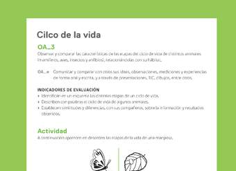 Ejemplo Evaluación Programas - OA03 - Ciclo de la vida Ejemplo Evaluación Programas - OA03 - Ciclo de la vida
