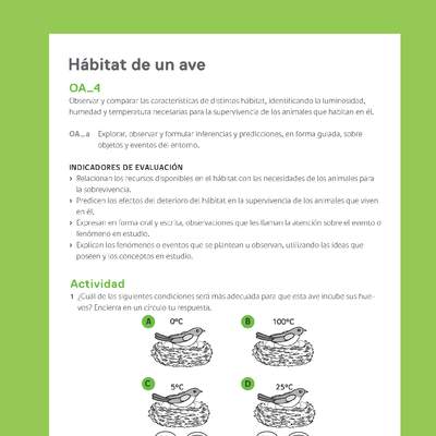 Ejemplo Evaluación Programas - OA04 - Hábitat de un ave Ejemplo Evaluación Programas - OA04 - Hábitat de un ave