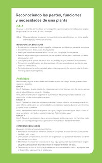 Ejemplo Evaluación Programas - OA01 - Reconociendo las partes, funciones y necesidades de una planta Ejemplo Evaluación Programas - OA01 - Reconociendo las partes, funciones y necesidades de una planta