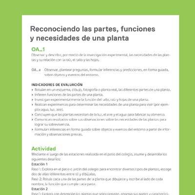 Ejemplo Evaluación Programas - OA01 - Reconociendo las partes, funciones y necesidades de una planta Ejemplo Evaluación Programas - OA01 - Reconociendo las partes, funciones y necesidades de una planta