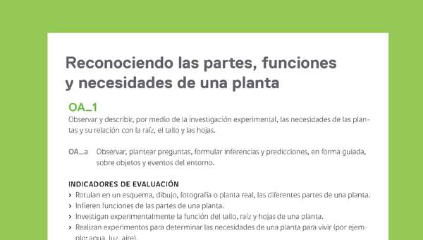 Ejemplo Evaluación Programas - OA01 - Reconociendo las partes, funciones y necesidades de una planta Ejemplo Evaluación Programas - OA01 - Reconociendo las partes, funciones y necesidades de una planta