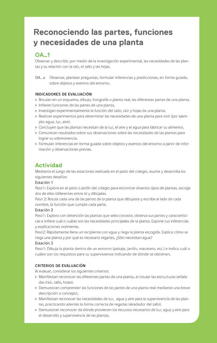 Ejemplo Evaluación Programas - OA01 - Reconociendo las partes, funciones y necesidades de una planta Ejemplo Evaluación Programas - OA01 - Reconociendo las partes, funciones y necesidades de una planta