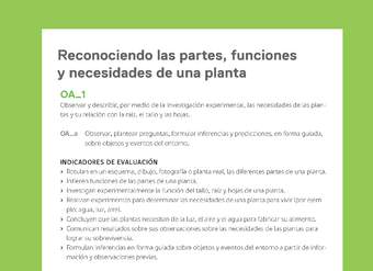 Ejemplo Evaluación Programas - OA01 - Reconociendo las partes, funciones y necesidades de una planta Ejemplo Evaluación Programas - OA01 - Reconociendo las partes, funciones y necesidades de una planta