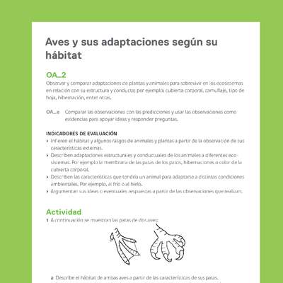 Ejemplo Evaluación Programas - OA02 - Aves y sus adaptaciones según su hábitat Ejemplo Evaluación Programas - OA02 - Aves y sus adaptaciones según su hábitat