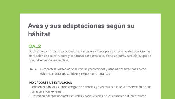Ejemplo Evaluación Programas - OA02 - Aves y sus adaptaciones según su hábitat Ejemplo Evaluación Programas - OA02 - Aves y sus adaptaciones según su hábitat