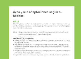 Ejemplo Evaluación Programas - OA02 - Aves y sus adaptaciones según su hábitat Ejemplo Evaluación Programas - OA02 - Aves y sus adaptaciones según su hábitat