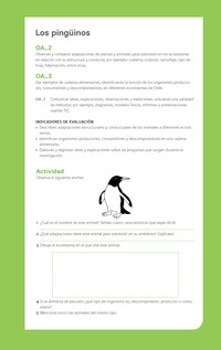 Ejemplo Evaluación Programas - OA02 - OA03 - Los pingüinos Ejemplo Evaluación Programas - OA02 - OA03 - Los pingüinos