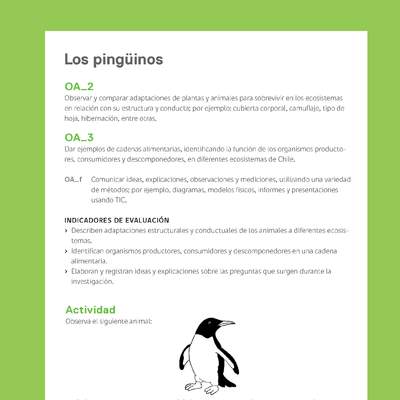 Ejemplo Evaluación Programas - OA02 - OA03 - Los pingüinos Ejemplo Evaluación Programas - OA02 - OA03 - Los pingüinos