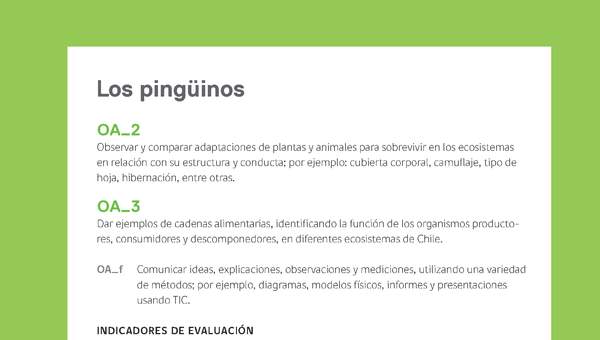 Ejemplo Evaluación Programas - OA02 - OA03 - Los pingüinos Ejemplo Evaluación Programas - OA02 - OA03 - Los pingüinos
