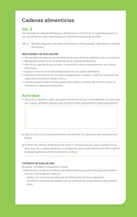 Ejemplo Evaluación Programas - OA03 - Cadenas alimenticias Ejemplo Evaluación Programas - OA03 - Cadenas alimenticias