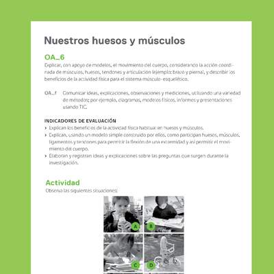 Ejemplo Evaluación Programas - OA06 - Nuestros huesos y músculos Ejemplo Evaluación Programas - OA06 - Nuestros huesos y músculos