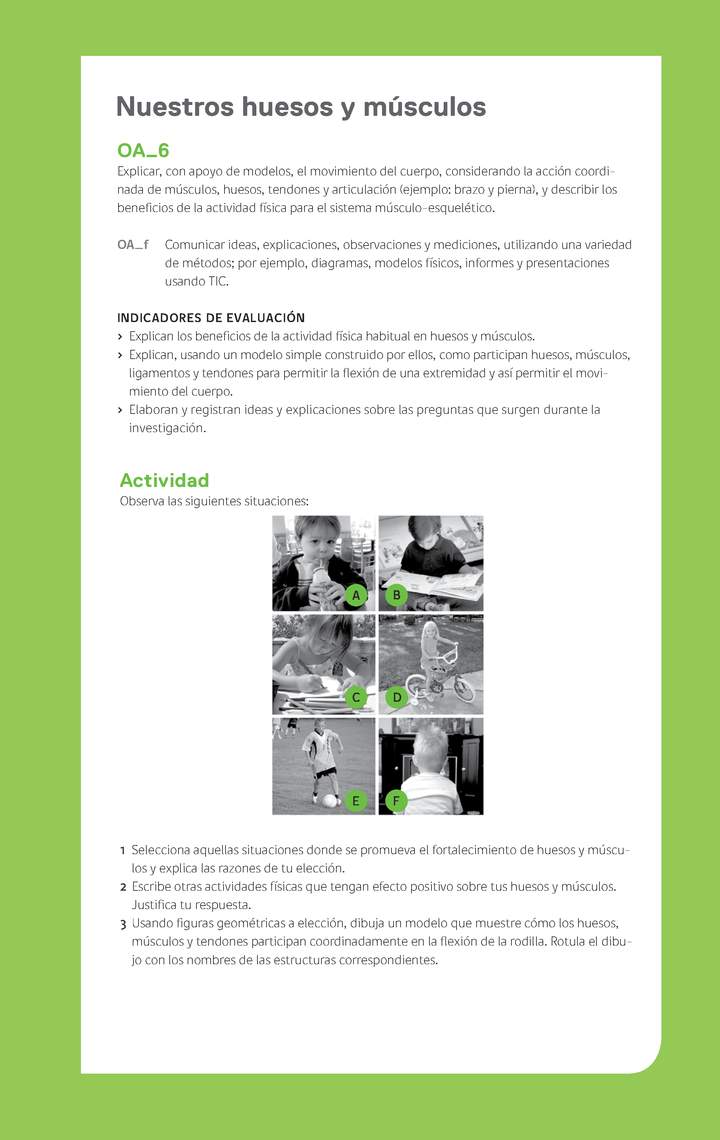 Ejemplo Evaluación Programas - OA06 - Nuestros huesos y músculos Ejemplo Evaluación Programas - OA06 - Nuestros huesos y músculos