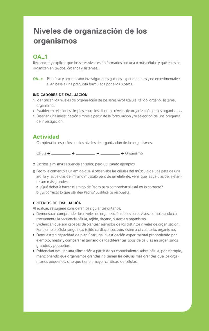 Ejemplo Evaluación Programas - OA01 - Niveles de organización de los organismos Ejemplo Evaluación Programas - OA01 - Niveles de organización de los organismos
