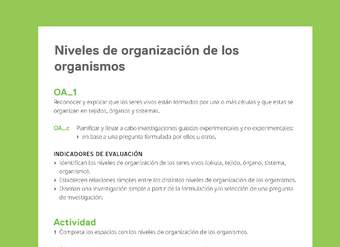 Ejemplo Evaluación Programas - OA01 - Niveles de organización de los organismos Ejemplo Evaluación Programas - OA01 - Niveles de organización de los organismos
