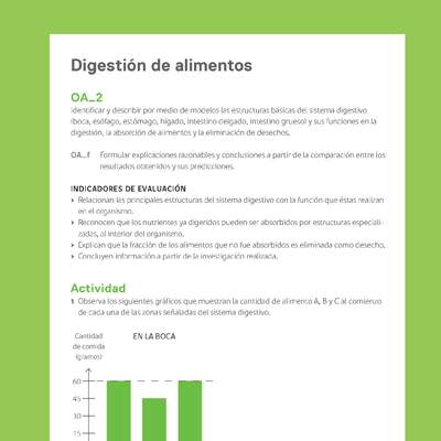 Ejemplo Evaluación Programas - OA02 - Digestión de alimentos Ejemplo Evaluación Programas - OA02 - Digestión de alimentos
