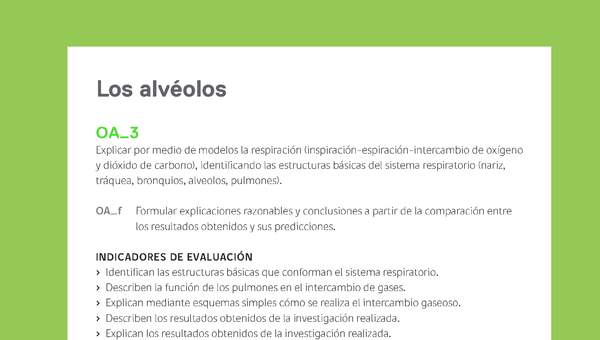 Ejemplo Evaluación Programas - OA03 - Los alvéolos Ejemplo Evaluación Programas - OA03 - Los alvéolos