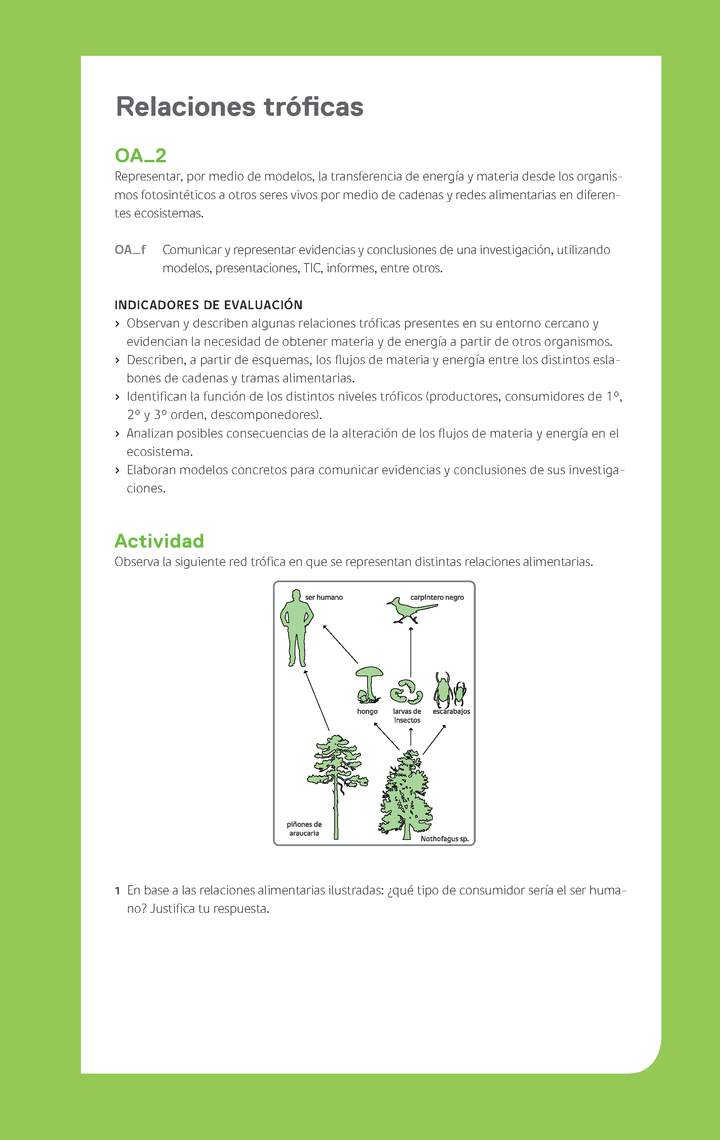 Ejemplo Evaluación Programas - OA02 - Relaciones tróficas Ejemplo Evaluación Programas - OA02 - Relaciones tróficas