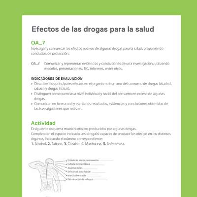 Ejemplo Evaluación Programas - OA07 - Efectos de las drogas para la salud Ejemplo Evaluación Programas - OA07 - Efectos de las drogas para la salud