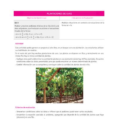 Evaluación Programas - MA07 OA09 - U2 - PLANTACIONES DE UVAS Evaluación Programas - MA07 OA09 - U2 - PLANTACIONES DE UVAS