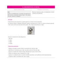 Evaluación Programas - MA08 OA03 - U1 - EL CRECIMIENTO DE UN CRISTAL Evaluación Programas - MA08 OA03 - U1 - EL CRECIMIENTO DE UN CRISTAL