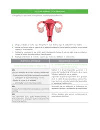 Evaluación Programas - CN07 OA02 - U4 - SISTEMA REPRODUCTOR FEMENINO Evaluación Programas - CN07 OA02 - U4 - SISTEMA REPRODUCTOR FEMENINO