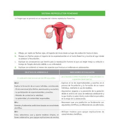 Evaluación Programas - CN07 OA02 - U4 - SISTEMA REPRODUCTOR FEMENINO Evaluación Programas - CN07 OA02 - U4 - SISTEMA REPRODUCTOR FEMENINO