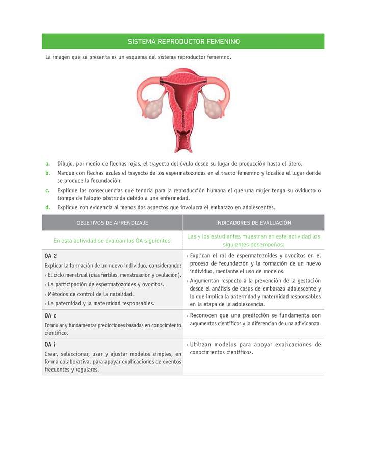 Evaluación Programas - CN07 OA02 - U4 - SISTEMA REPRODUCTOR FEMENINO Evaluación Programas - CN07 OA02 - U4 - SISTEMA REPRODUCTOR FEMENINO