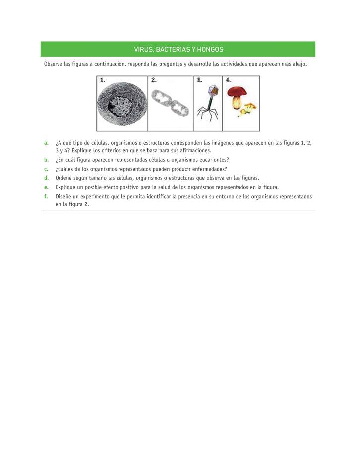Evaluación Programas - CN07 OA05 - U3 - VIRUS, BACTERIAS Y HONGOS Evaluación Programas - CN07 OA05 - U3 - VIRUS, BACTERIAS Y HONGOS