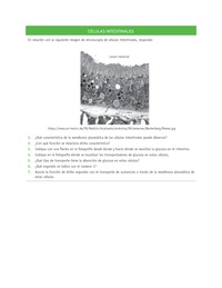 Evaluación Programas - CN08 OA02 - OA03 - U2 - CÉLULAS INTESTINALES Evaluación Programas - CN08 OA02 - OA03 - U2 - CÉLULAS INTESTINALES
