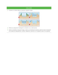Evaluación Programas - CN1M OA02 - U1 - EVOLUCIÓN Evaluación Programas - CN1M OA02 - U1 - EVOLUCIÓN