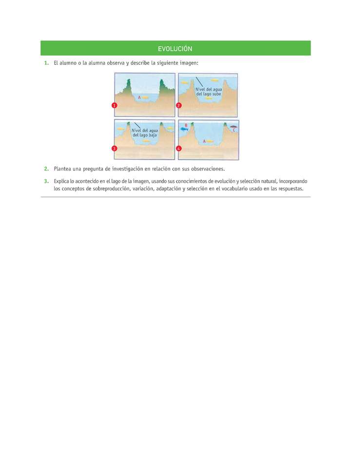 Evaluación Programas - CN1M OA02 - U1 - EVOLUCIÓN Evaluación Programas - CN1M OA02 - U1 - EVOLUCIÓN