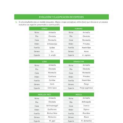 Evaluación Programas - CN1M OA03 - U1 - EVOLUCIÓN Y CLASIFICACIÓN DE ESPECIES