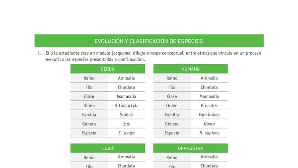 Evaluación Programas - CN1M OA03 - U1 - EVOLUCIÓN Y CLASIFICACIÓN DE ESPECIES Evaluación Programas - CN1M OA03 - U1 - EVOLUCIÓN Y CLASIFICACIÓN DE ESPECIES