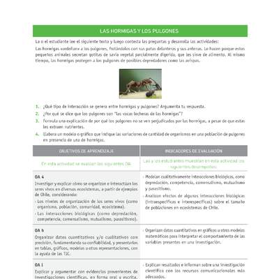 Evaluación Programas - CN1M OA04 - U2 - LAS HORMIGAS Y LOS PULGONES Evaluación Programas - CN1M OA04 - U2 - LAS HORMIGAS Y LOS PULGONES