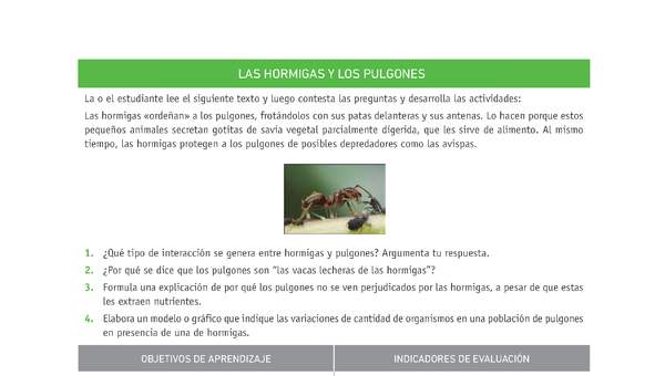 Evaluación Programas - CN1M OA04 - U2 - LAS HORMIGAS Y LOS PULGONES Evaluación Programas - CN1M OA04 - U2 - LAS HORMIGAS Y LOS PULGONES