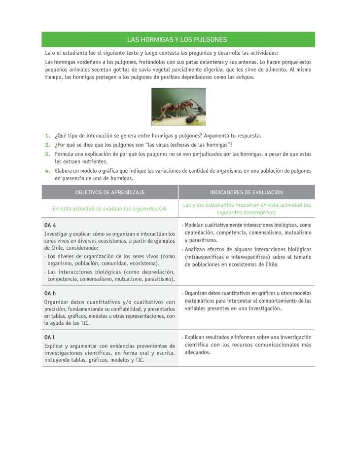 Evaluación Programas - CN1M OA04 - U2 - LAS HORMIGAS Y LOS PULGONES Evaluación Programas - CN1M OA04 - U2 - LAS HORMIGAS Y LOS PULGONES