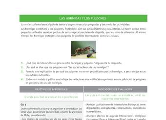 Evaluación Programas - CN1M OA04 - U2 - LAS HORMIGAS Y LOS PULGONES Evaluación Programas - CN1M OA04 - U2 - LAS HORMIGAS Y LOS PULGONES