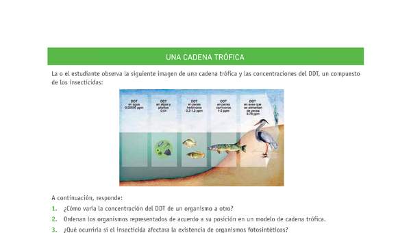 Evaluación Programas - CN1M - OA06 - OA07 - U3 - UNA CADENA TRÓFICA Evaluación Programas - CN1M - OA06 - OA07 - U3 - UNA CADENA TRÓFICA