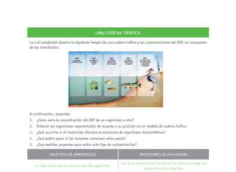 Evaluación Programas - CN1M - OA06 - OA07 - U3 - UNA CADENA TRÓFICA Evaluación Programas - CN1M - OA06 - OA07 - U3 - UNA CADENA TRÓFICA