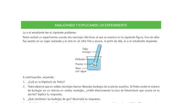 Evaluación Programas - CN1M - OA07 - U3 - ANALIZANDO Y EXPLICANDO UN EXPERIMENTO Evaluación Programas - CN1M - OA07 - U3 - ANALIZANDO Y EXPLICANDO UN EXPERIMENTO