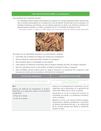 Evaluación Programas - CN1M - OA07 - U3 - UNA INVESTIGACIÓN SOBRE LA HOJARASCA Evaluación Programas - CN1M - OA07 - U3 - UNA INVESTIGACIÓN SOBRE LA HOJARASCA